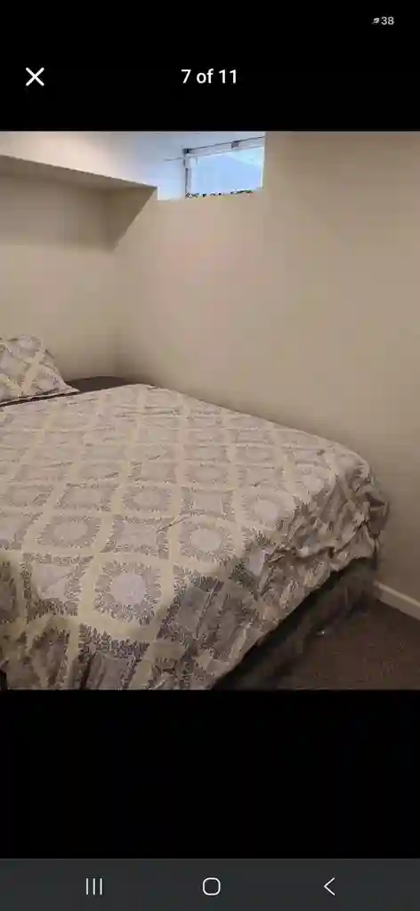 Female roommate wanted