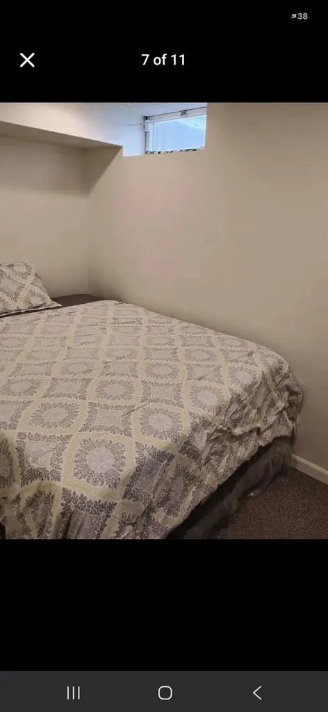 Female roommate wanted
