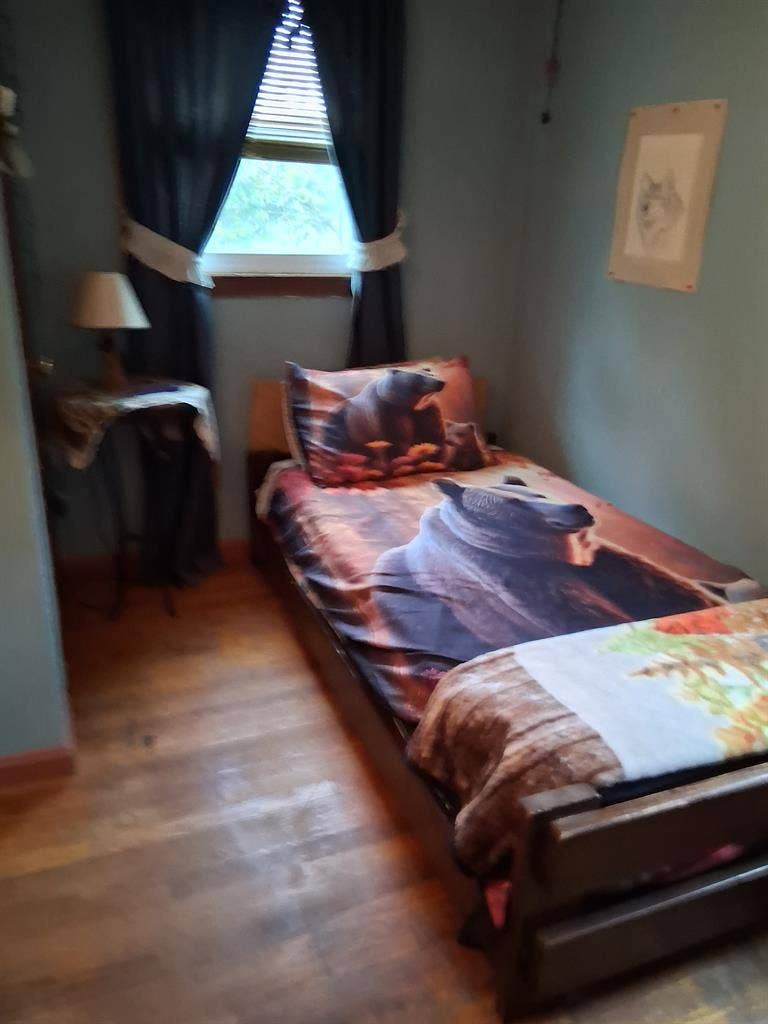 Looking for a roommate