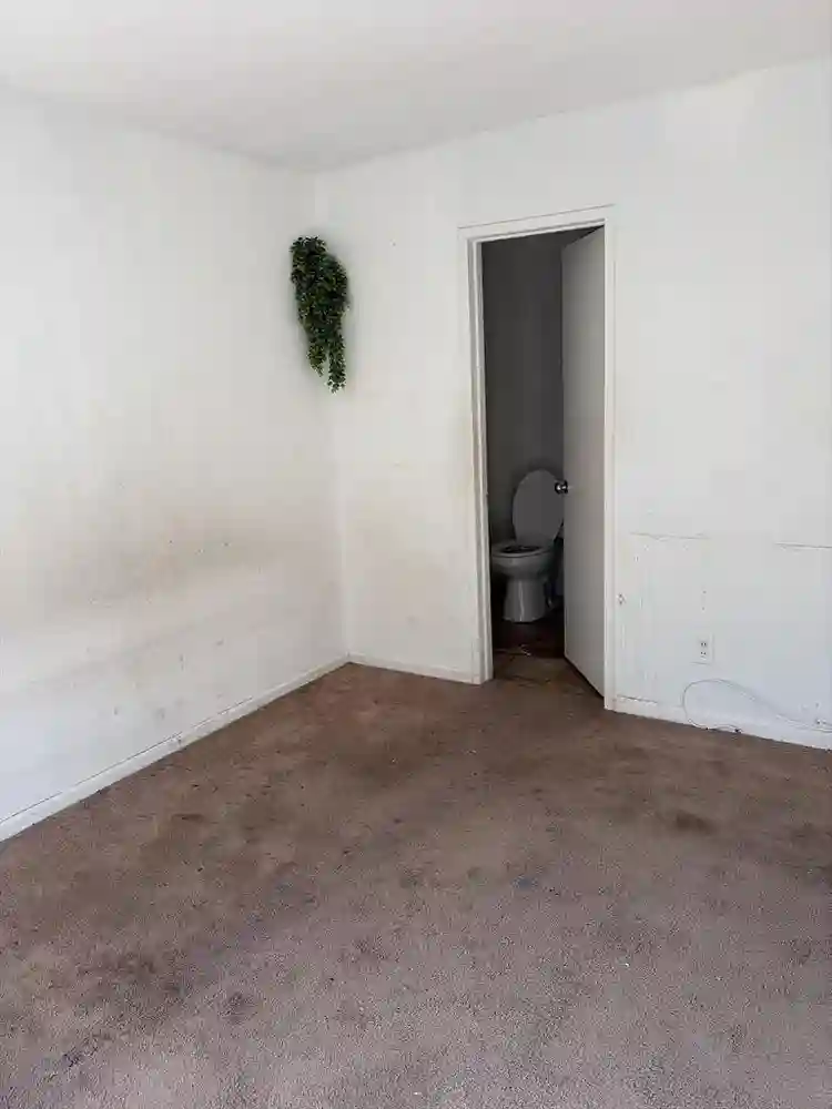 Room with private bath available