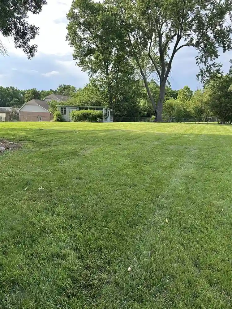 Park like setting with privacy