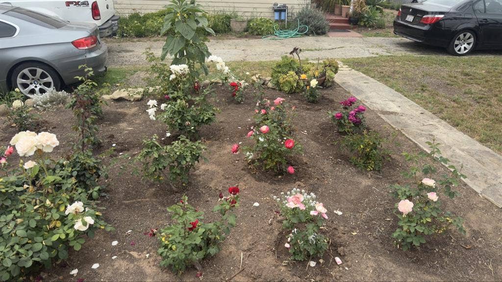 BDRM available in 2bd 1 bath home