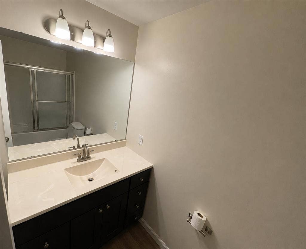 1 Bedroom 1 Bathroom apartment