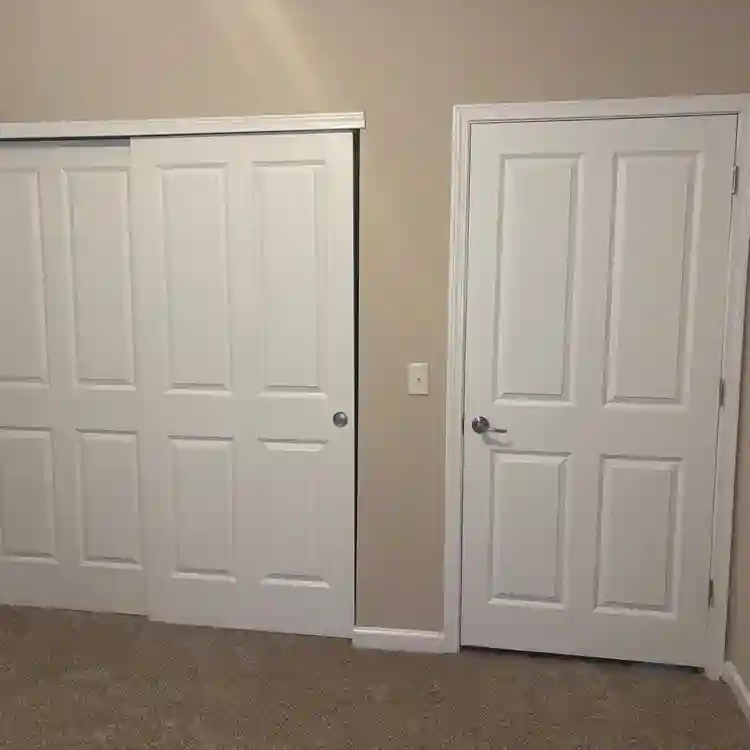 Looking for a roommate
