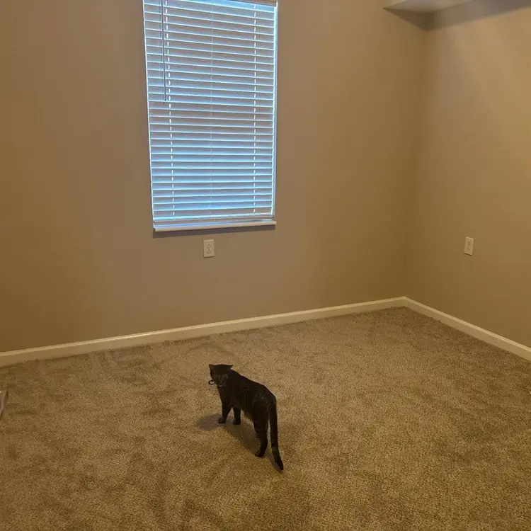 Looking for a roommate