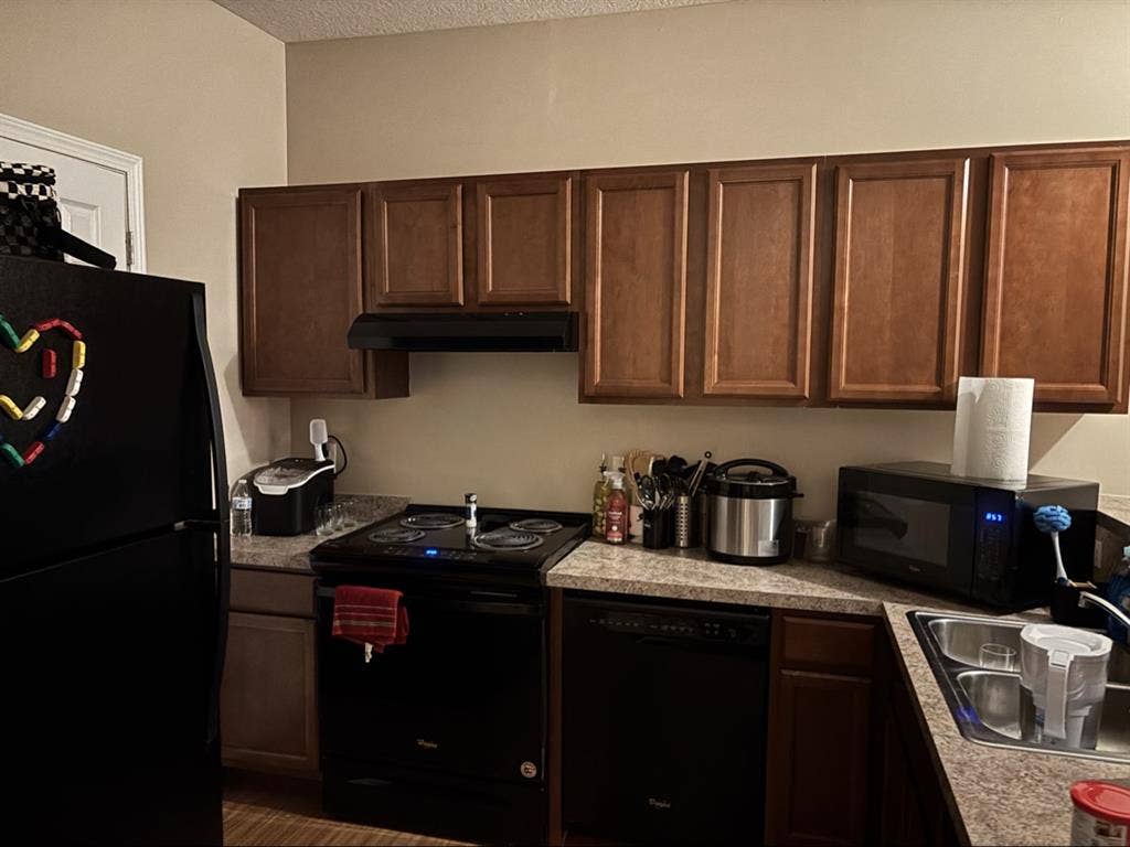 Looking for a roommate