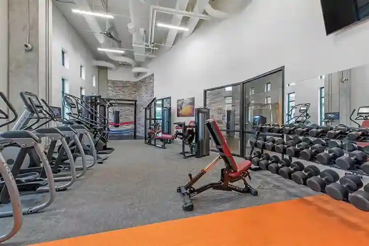 Open Bedroom Immediate Availability