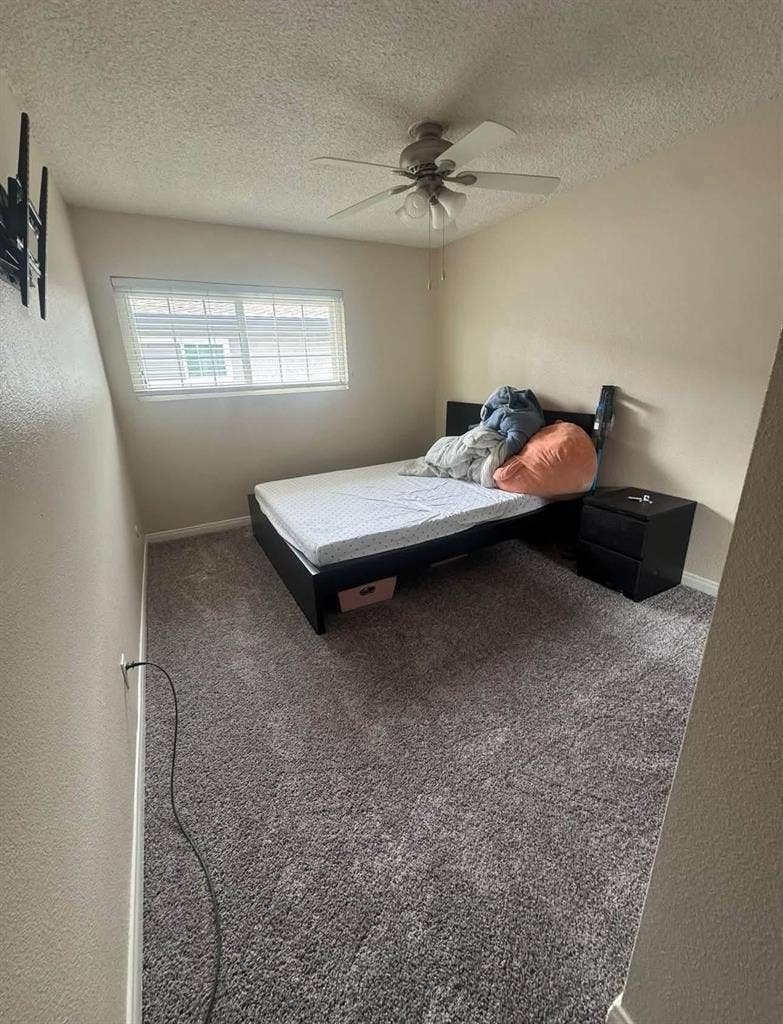Private Bedroom in 3 bed 2 Bath