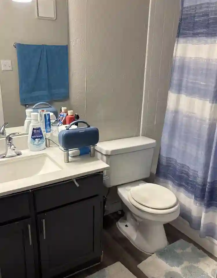 1 bed1 bath, room in a 2 bed apart'