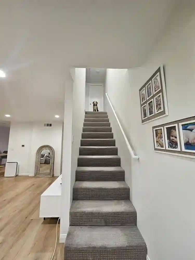 Great room in good area