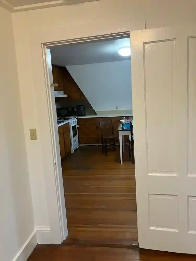 Looking for an honest roommate