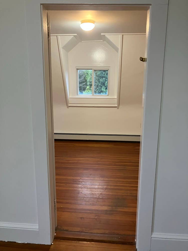 Looking for an honest roommate
