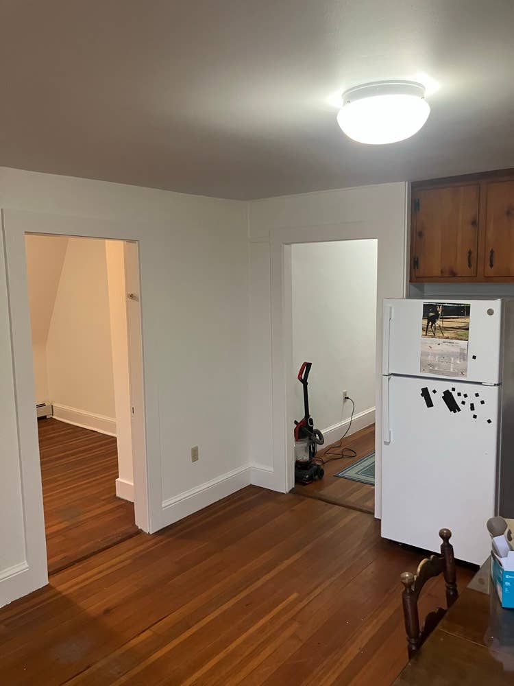 Looking for an honest roommate