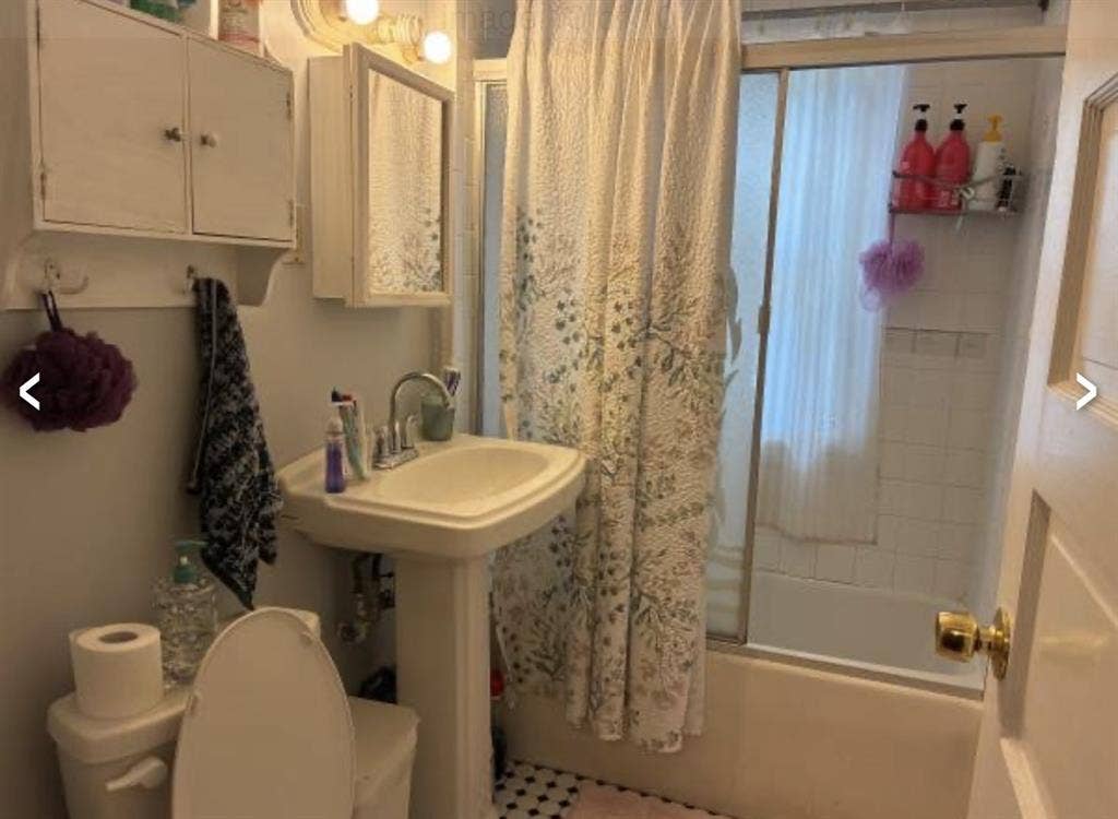 Looking for a roommate