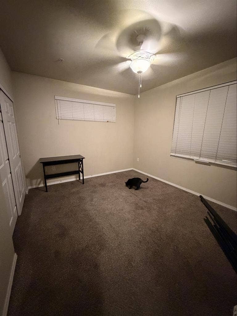 Room and private bathroom for rent