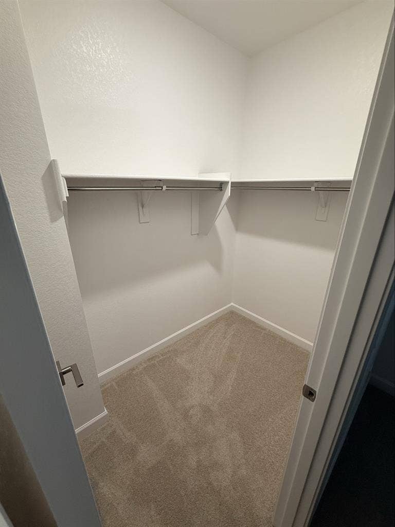 Private room w/ shared bathroom