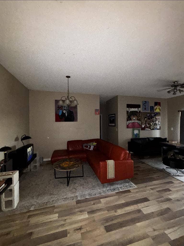 Looking for a ROOMMATEE