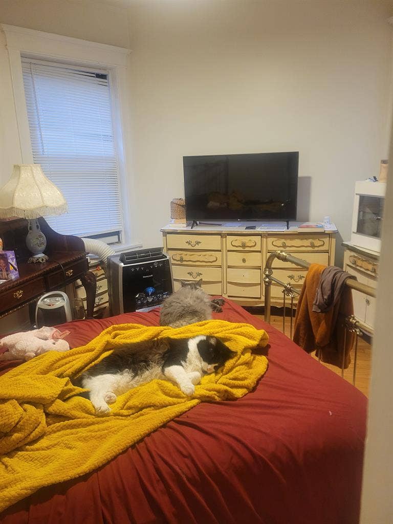New Listing