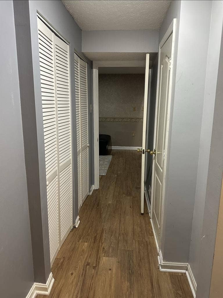 Basement available for rent. $805