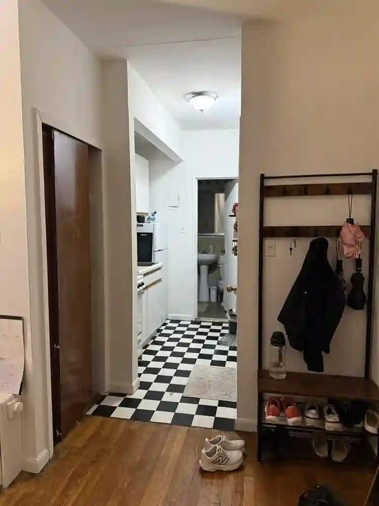 Looking for a roommate