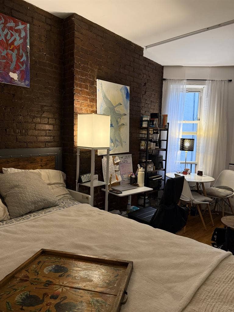 Looking for a roommate