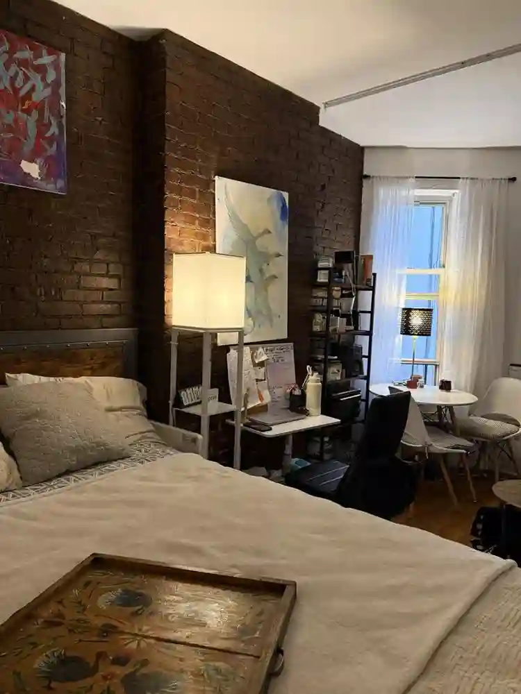 Looking for a roommate