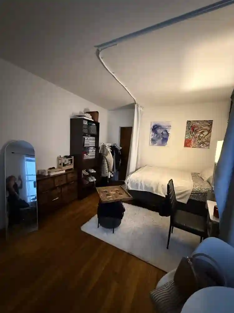 Looking for a roommate