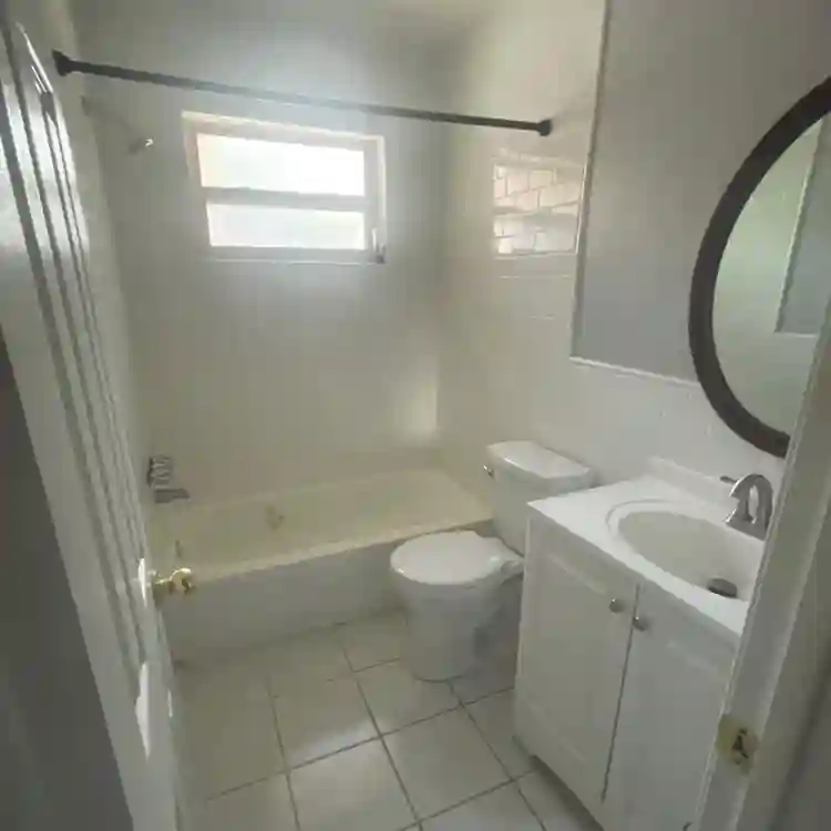 Looking for a roommate