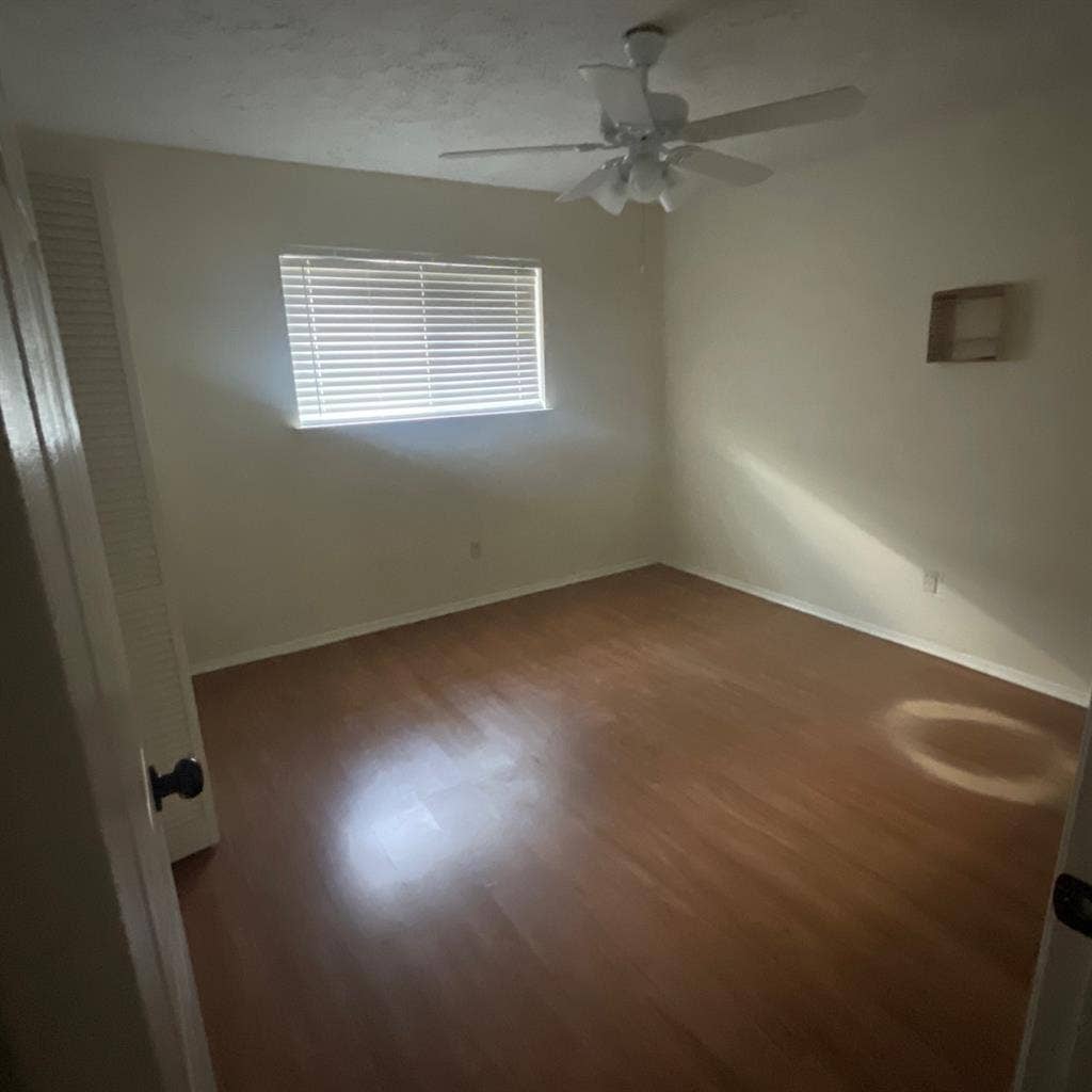 Looking for a roommate