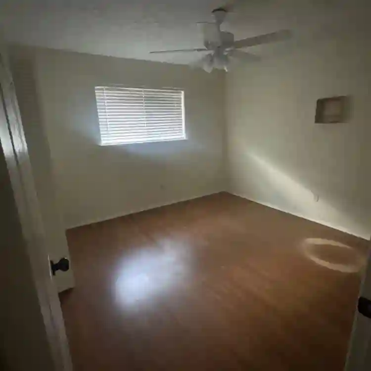 Looking for a roommate