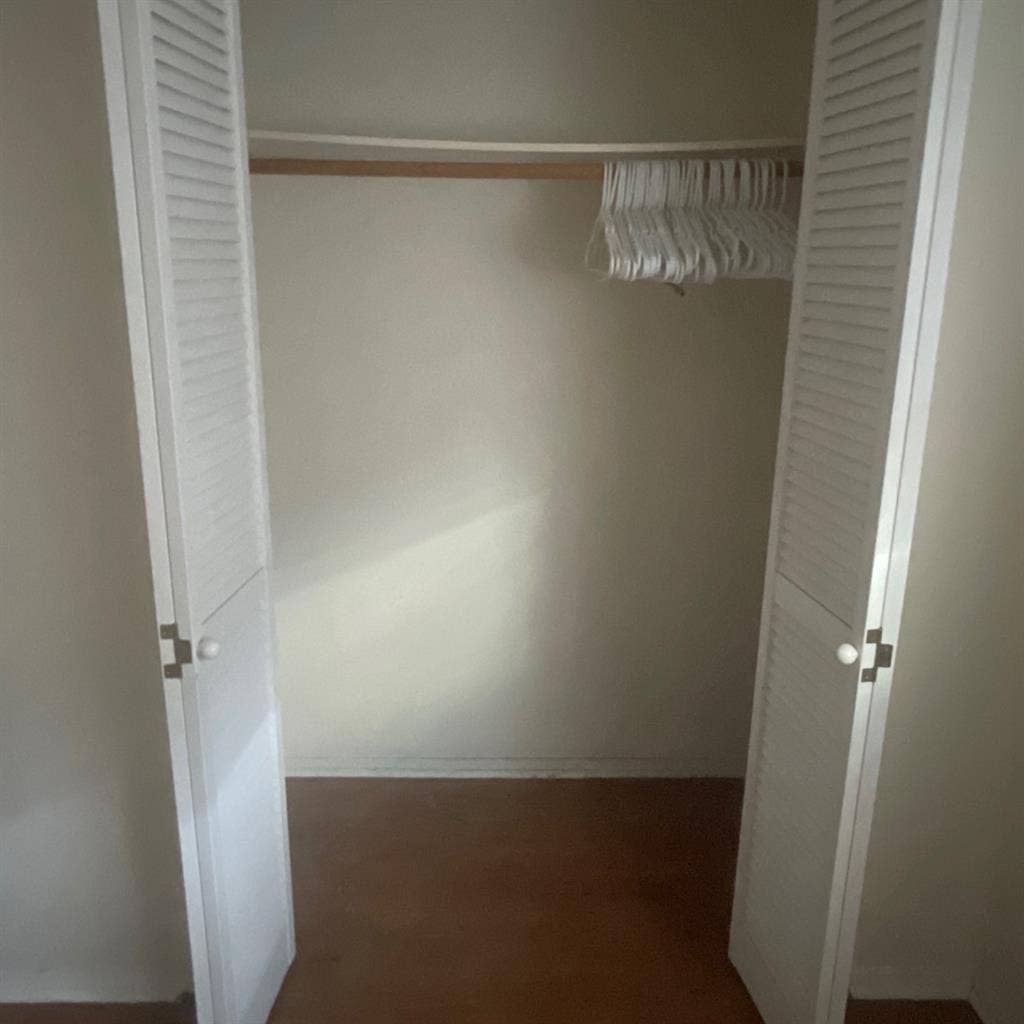 Looking for a roommate