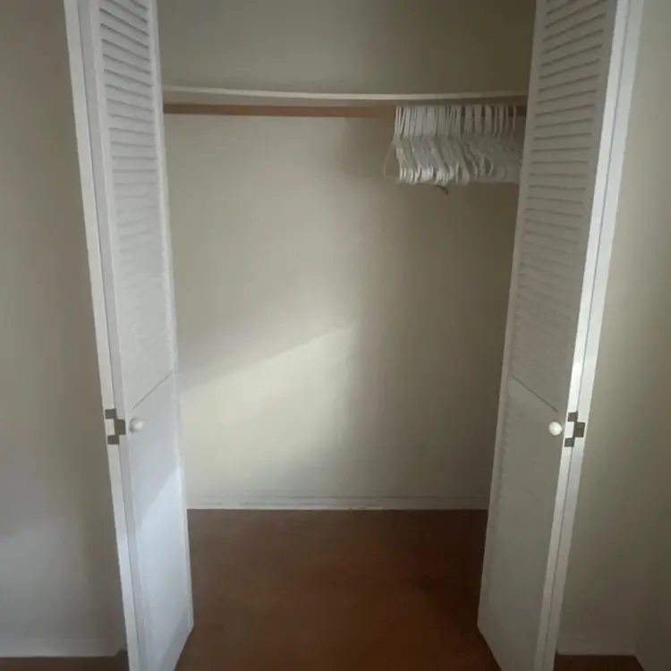 Looking for a roommate