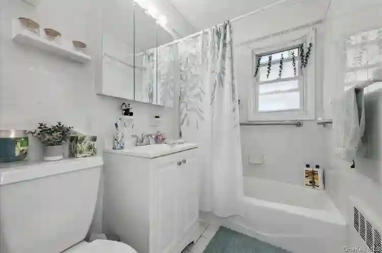Roommate wanted