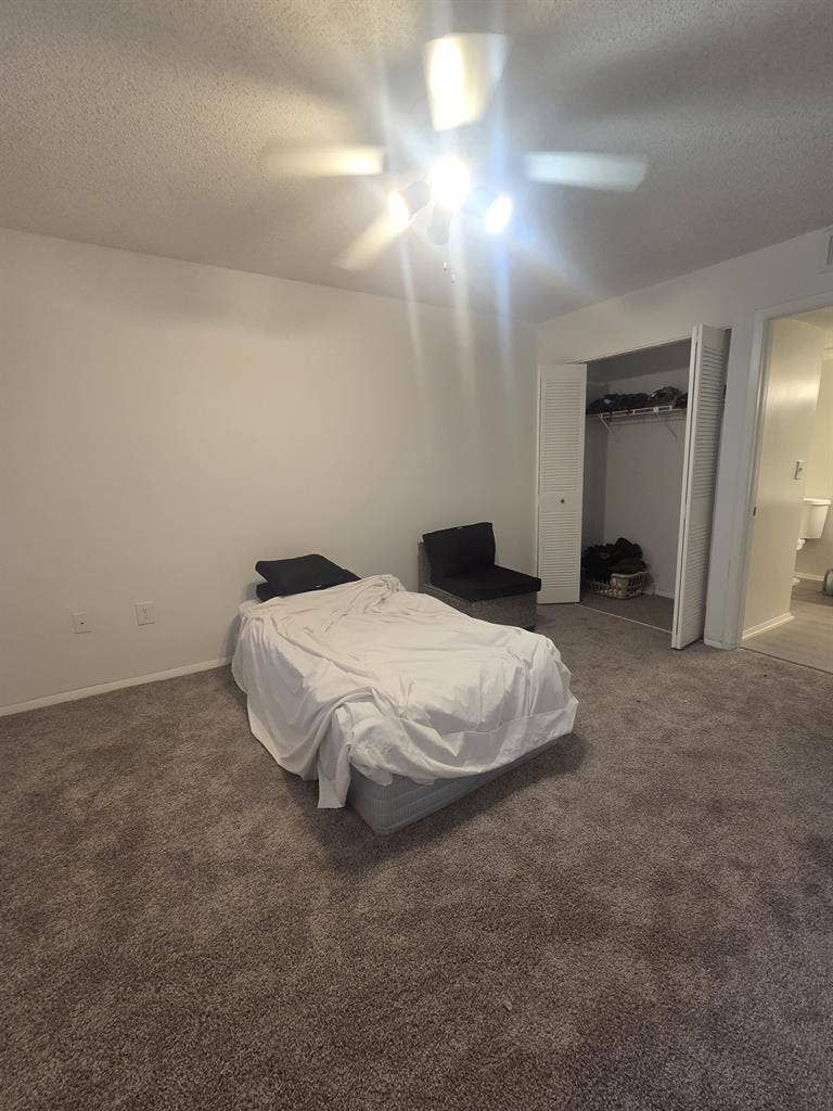 Need responsible roommate urgent