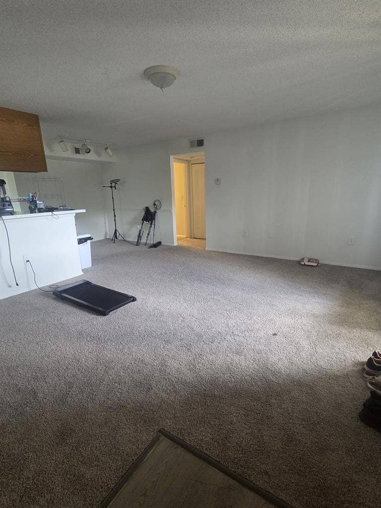 Need responsible roommate urgent