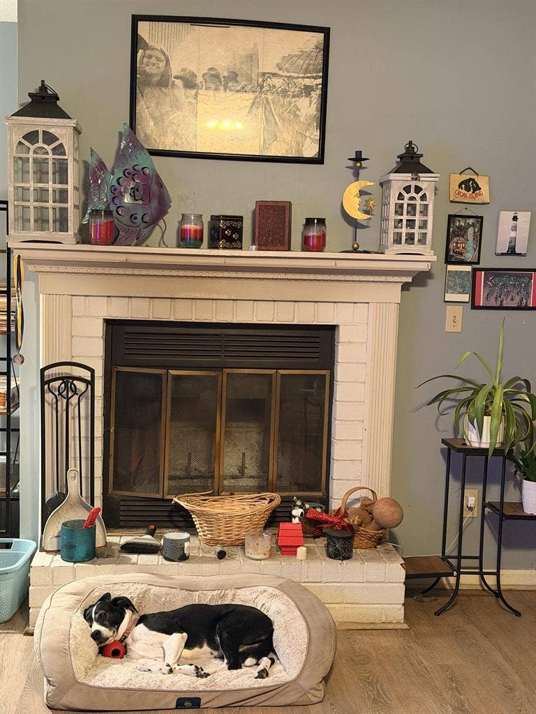 Room for rent in west Ashley house!