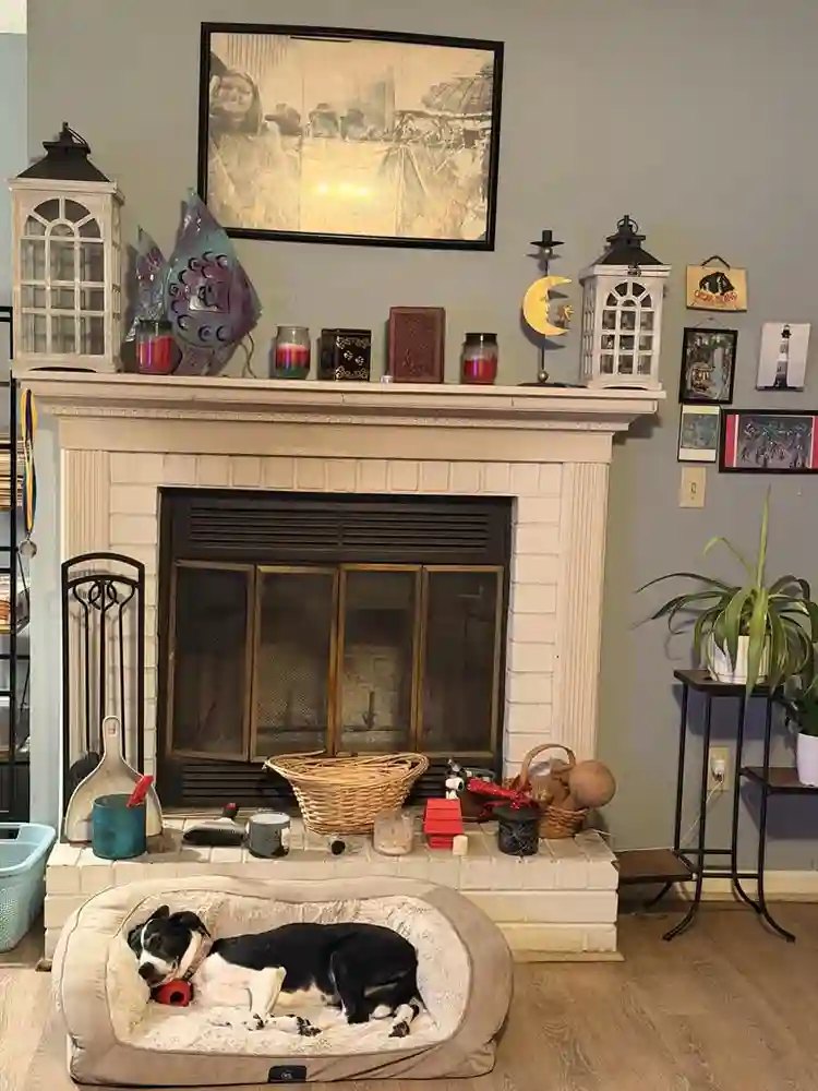 Room for rent in west Ashley house!