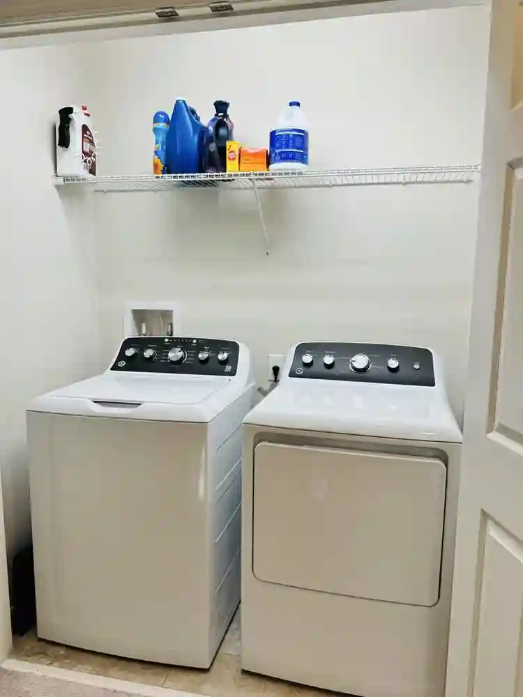 Roommate needed