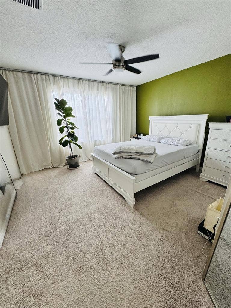 Roommate needed