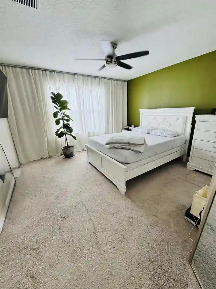 Roommate needed