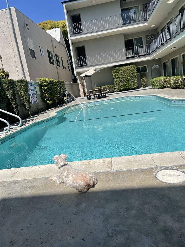 Alamitos Beach Apt for Sublet