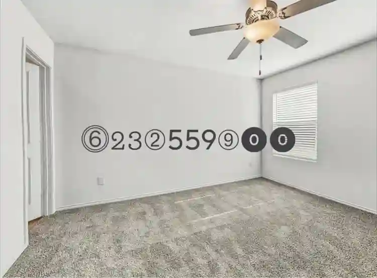 Roommates Needed