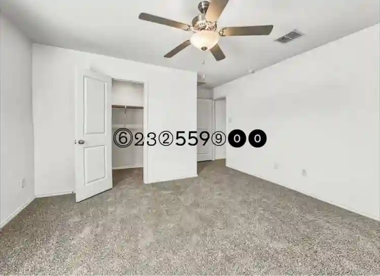 Roommates Needed