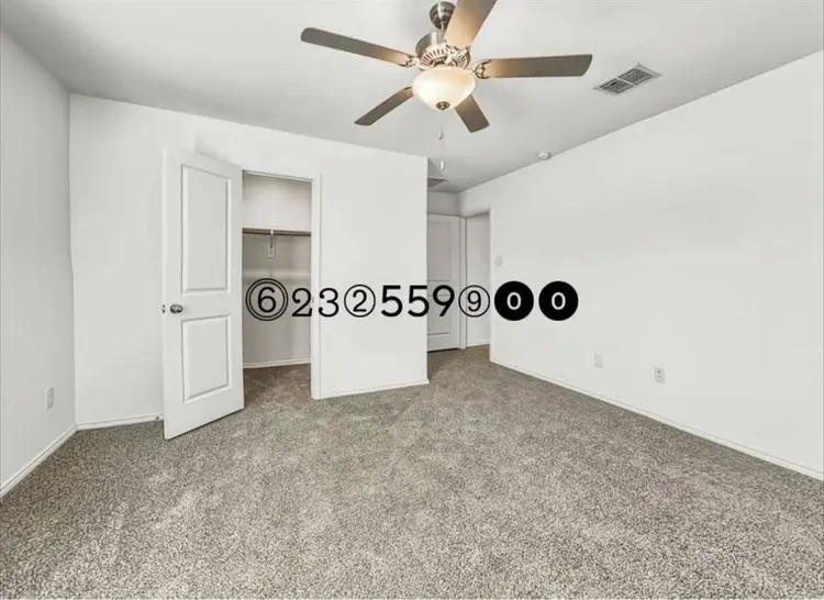 Roommates Needed