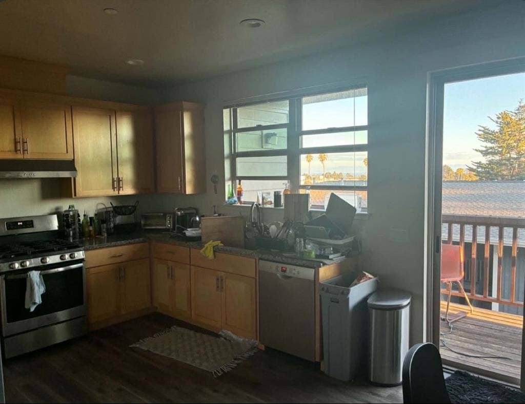 Need a roommate!!