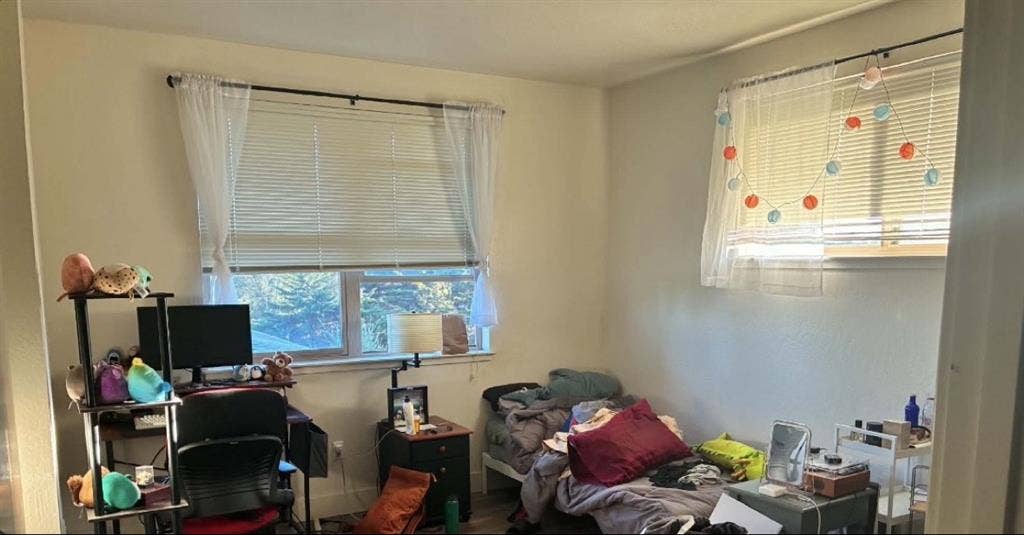 Need a roommate!!
