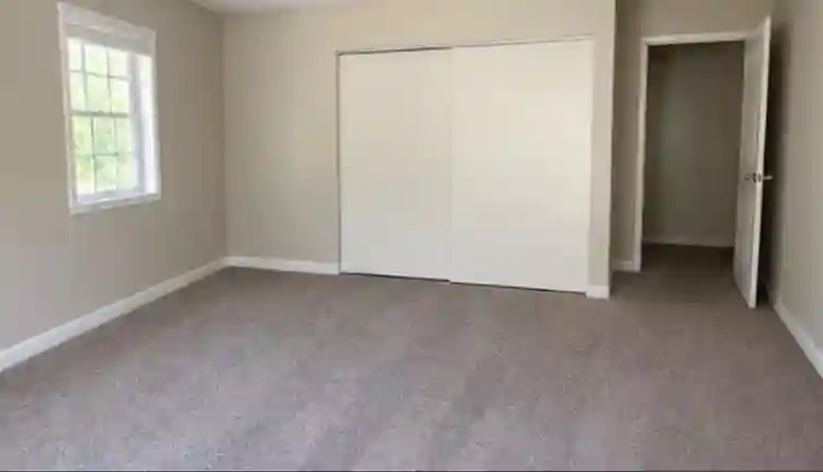 Roommate wanted