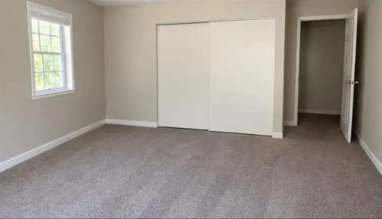 Roommate wanted
