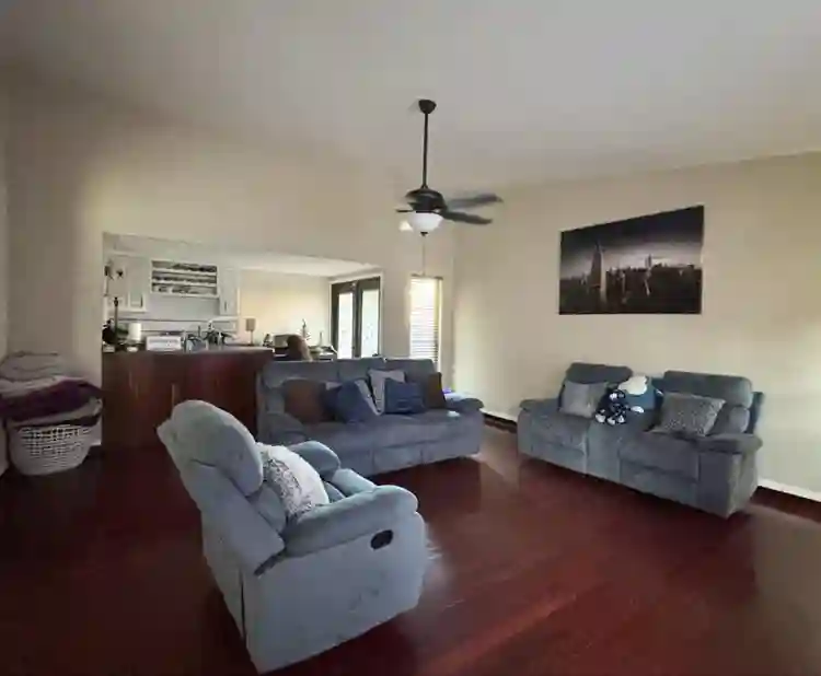 Looking for a roommate!