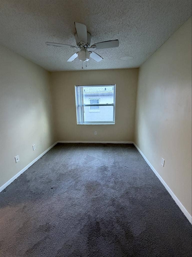 Looking for a single female roomate